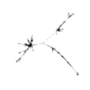 seqclust/clustering/clusters/dir_CL0223/CL223_tmb.png