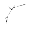 seqclust/clustering/clusters/dir_CL0225/CL225_tmb.png
