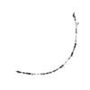 seqclust/clustering/clusters/dir_CL0227/CL227_tmb.png