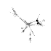seqclust/clustering/clusters/dir_CL0233/CL233_tmb.png