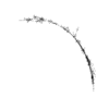 seqclust/clustering/clusters/dir_CL0249/CL249_tmb.png
