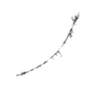 seqclust/clustering/clusters/dir_CL0254/CL254_tmb.png