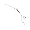 seqclust/clustering/clusters/dir_CL0258/CL258_tmb.png