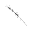 seqclust/clustering/clusters/dir_CL0261/CL261_tmb.png