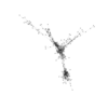 seqclust/clustering/clusters/dir_CL0279/CL279_tmb.png