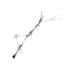 seqclust/clustering/clusters/dir_CL0290/CL290_tmb.png