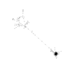 seqclust/clustering/clusters/dir_CL0294/CL294_tmb.png