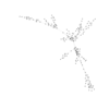 seqclust/clustering/clusters/dir_CL0306/CL306_tmb.png